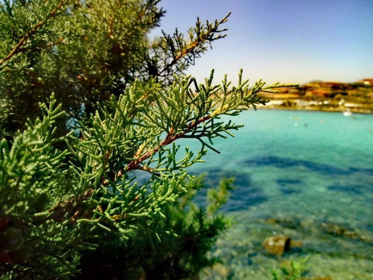 Le Stanze Del Mare Aparthotel Golfo Aranci Exterior foto
