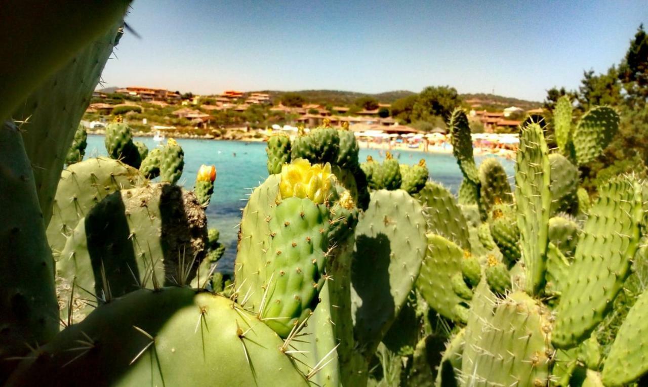 Le Stanze Del Mare Aparthotel Golfo Aranci Exterior foto